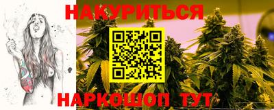 крисы Будённовск