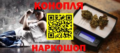 крисы Будённовск