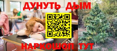 крисы Будённовск