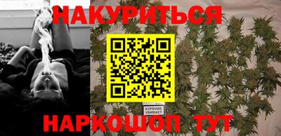 крисы Будённовск