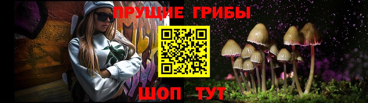 Галлюциногенные грибы Cubensis Новодвинск